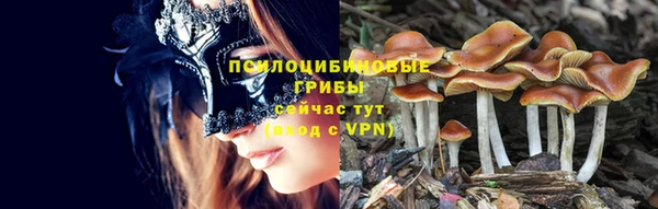 MESCALINE Карпинск