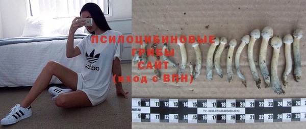 твердый Чердынь